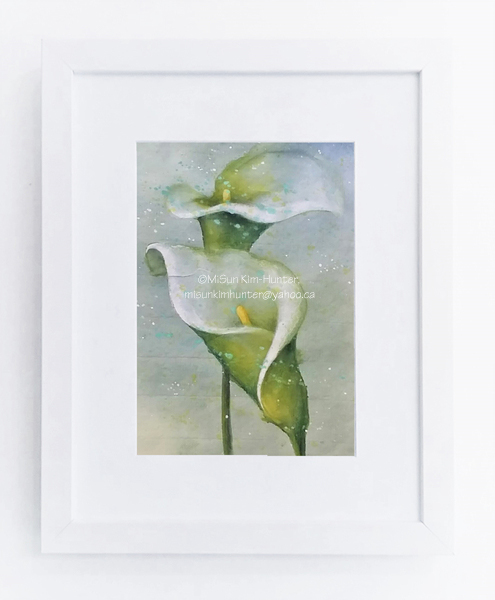 8x10 Calla